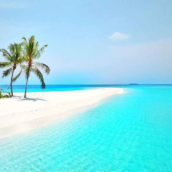Andaman Tourism, Best Tour Operator