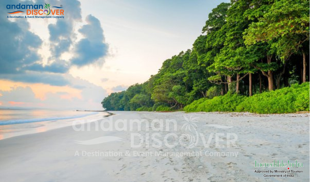 Andaman Tourism, Best Tour Operator